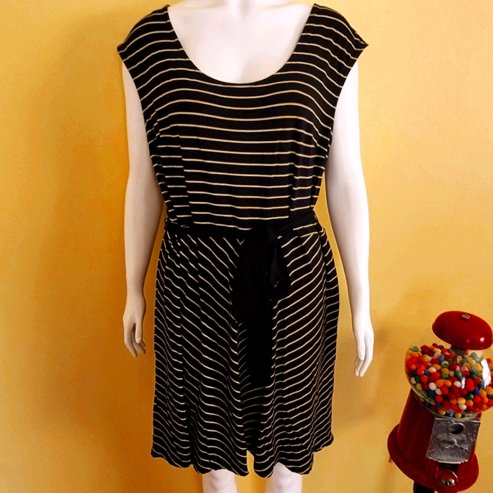 Ann Taylor Sleeveless Blue & Yellow Stripe Dress